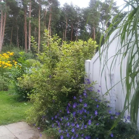 Waldblick Noeske - Gm 69606 Apartment