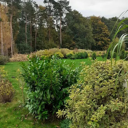 Waldblick Noeske - Gm 69606 Lägenhet *